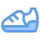 zapatos icon