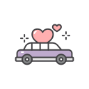 coche de bodas icon