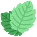 menta icon