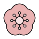 sakura icon