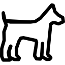 perro llano icon