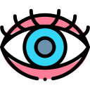 ojo icon