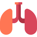 pulmones icon