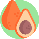 coxinha icon