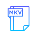 mkv 