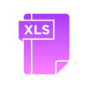 xls icon