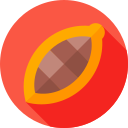 cacao icon