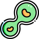 mitosis icon