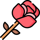 rosa icon