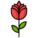 rosa icon