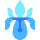 iris icon