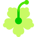 hibisco icon