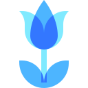 tulipán icon