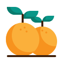 naranja icon