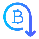 bitcoin icon