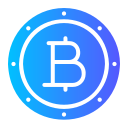 bitcoin icon