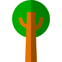 Árbol