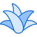 aloe vera icon