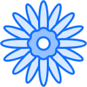 margarita gerbera icon