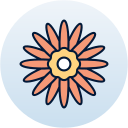 margarita gerbera icon