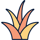 yuca icon