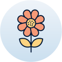 girasol icon