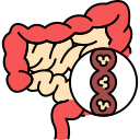 intestinos icon