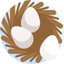 pájaro icon