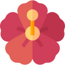 hibisco icon