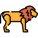 león