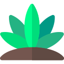 agave icon