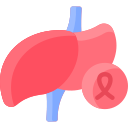 cáncer de hígado icon