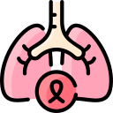 pulmones icon