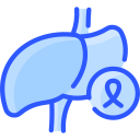 cáncer de hígado icon