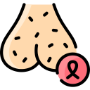 testicular icon