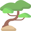 bonsai icon