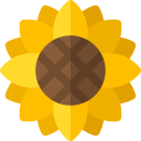 girasol icon