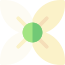 bouvardia icon