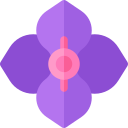 hortensia icon