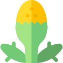 piña icon