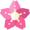 sakura icon