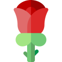 rosa icon