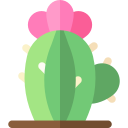 cactus icon