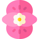 begonia icon