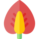 anturio icon