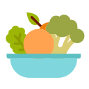 vegetales icon