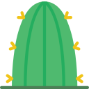 cactus icon