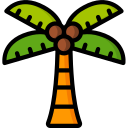 palmera 