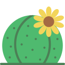 cactus icon