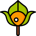 physalis icon